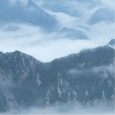 在线DDOS压力测试网页端